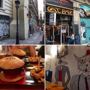 CatBar  at Cat Bar in Barcelona