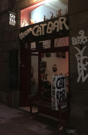  at Cat Bar in Barcelona