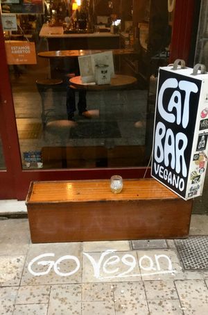  at Cat Bar in Barcelona