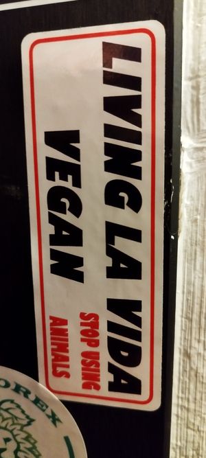 Pegatina at Cat Bar in Barcelona