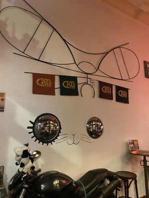 Meow  at Cat Bar in Barcelona