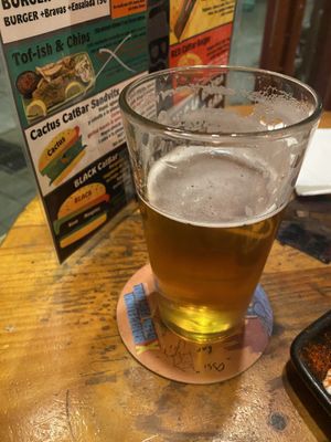 Pint   at Cat Bar in Barcelona