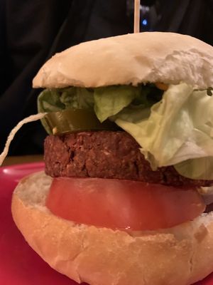   at Cat Bar in Barcelona