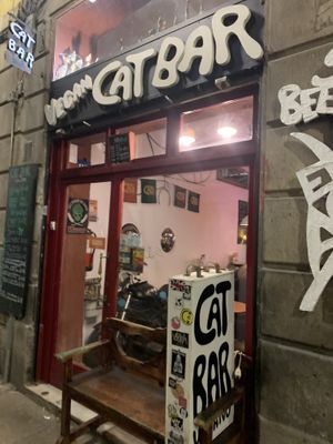  at Cat Bar in Barcelona