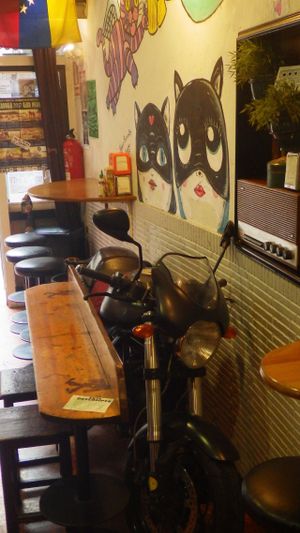 Cool for cats at Cat Bar in Barcelona