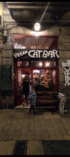  at Cat Bar in Barcelona