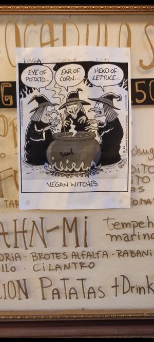  at Cat Bar in Barcelona