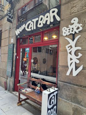  at Cat Bar in Barcelona