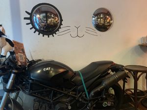  at Cat Bar in Barcelona