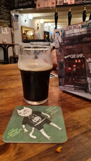  at Cat Bar in Barcelona