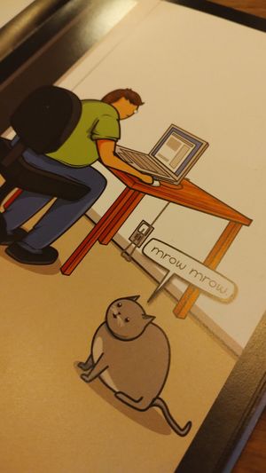  at Cat Bar in Barcelona