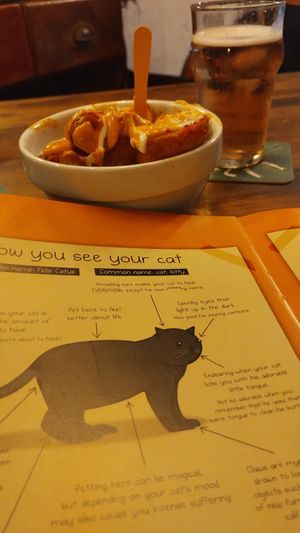  at Cat Bar in Barcelona