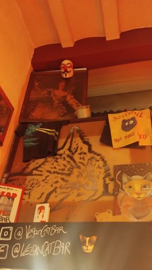  at Cat Bar in Barcelona