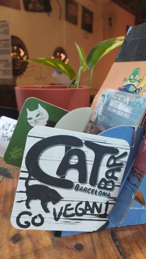  at Cat Bar in Barcelona