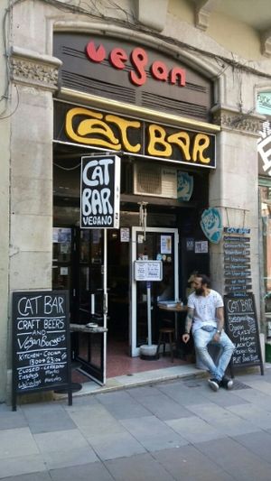 Cat Bar, Barcelona  at Cat Bar in Barcelona