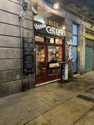   at Cat Bar in Barcelona