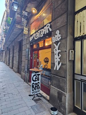  at Cat Bar in Barcelona