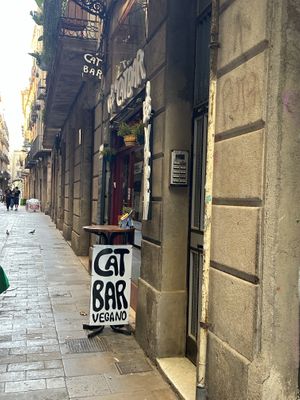 Outside   at Cat Bar in Barcelona