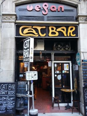 cat bar at Cat Bar in Barcelona
