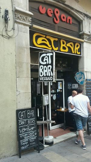 Outside view at Cat Bar in Barcelona