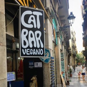 Cat bar bcn at Cat Bar in Barcelona