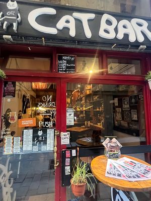   at Cat Bar in Barcelona