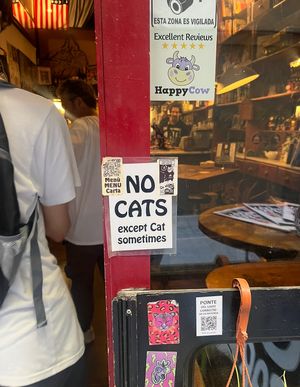   at Cat Bar in Barcelona