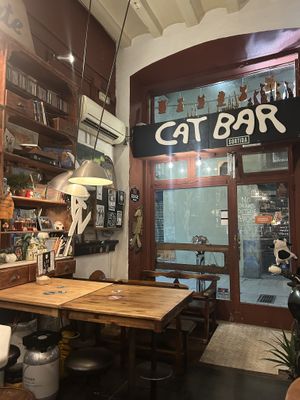   at Cat Bar in Barcelona