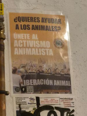  at Cat Bar in Barcelona