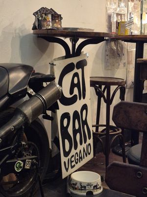  at Cat Bar in Barcelona