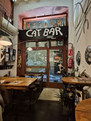  at Cat Bar in Barcelona