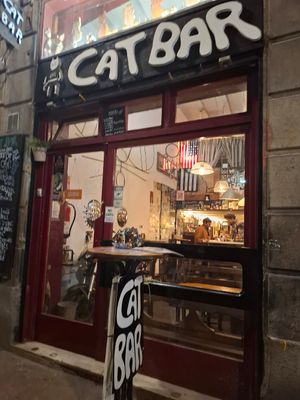 Cat lover could not walk past this! at Cat Bar in Barcelona