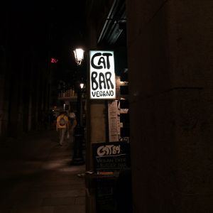 outside  at Cat Bar in Barcelona