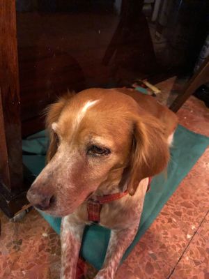 the best floor manager ever!  at Cat Bar in Barcelona