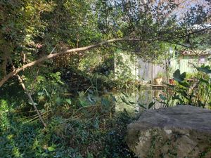 Outside gardens at Lotus Cafe in Panama City Beach