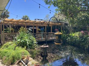 Outdoor shaded seating    at Lotus Cafe in Panama City Beach