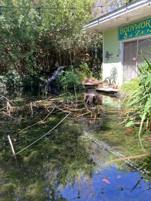 View from our table  at Lotus Cafe in Panama City Beach