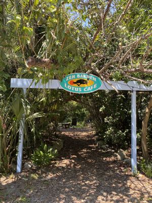   at Lotus Cafe in Panama City Beach