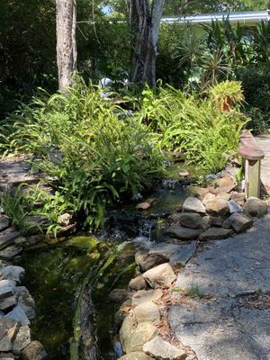   at Lotus Cafe in Panama City Beach