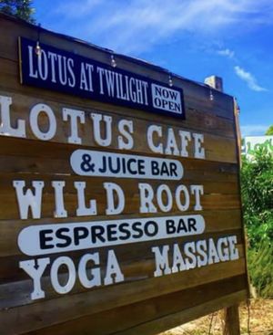   at Lotus Cafe in Panama City Beach