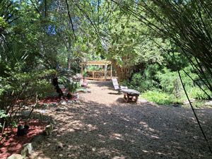 Zen garden at Lotus Cafe in Panama City Beach