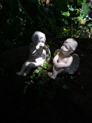 Zen Garden at Lotus Cafe in Panama City Beach