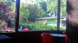 Gardens  at Lotus Cafe in Panama City Beach