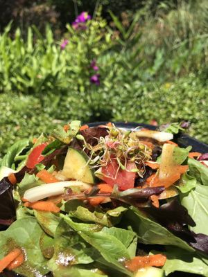 Balsamic salad at Lotus Cafe in Panama City Beach