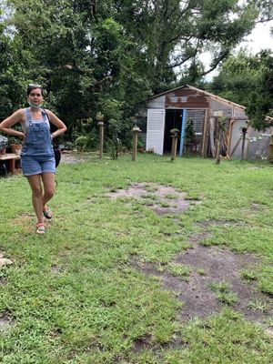 Cute garden shed at Lotus Cafe in Panama City Beach