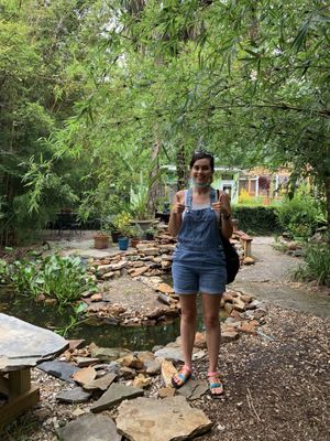 Koi pond much  at Lotus Cafe in Panama City Beach