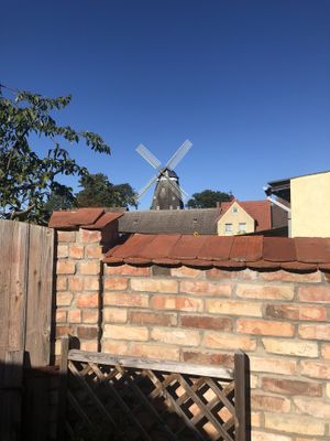 What a few at Café Mühlenblick in Robel