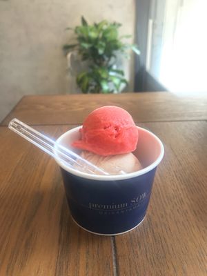 Peach and berry? Ice cream : ¥600 for 2 scoops at Premium SOW in Tokyo
