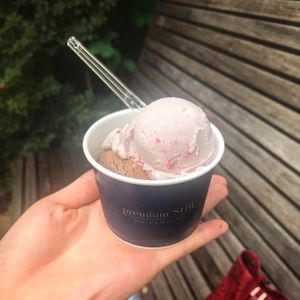 Chocolate and berry milk? : ¥600 for 2 scoops at Premium SOW in Tokyo