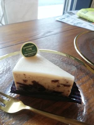  at Premium SOW in Tokyo